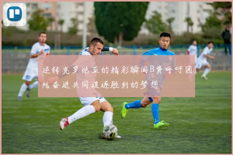 逆转克罗地亚的精彩瞬间B费呼吁团结奋进共同追逐胜利的梦想