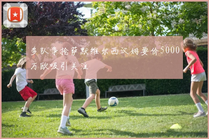 多队争抢萨默维尔西汉姆要价5000万欧吸引关注