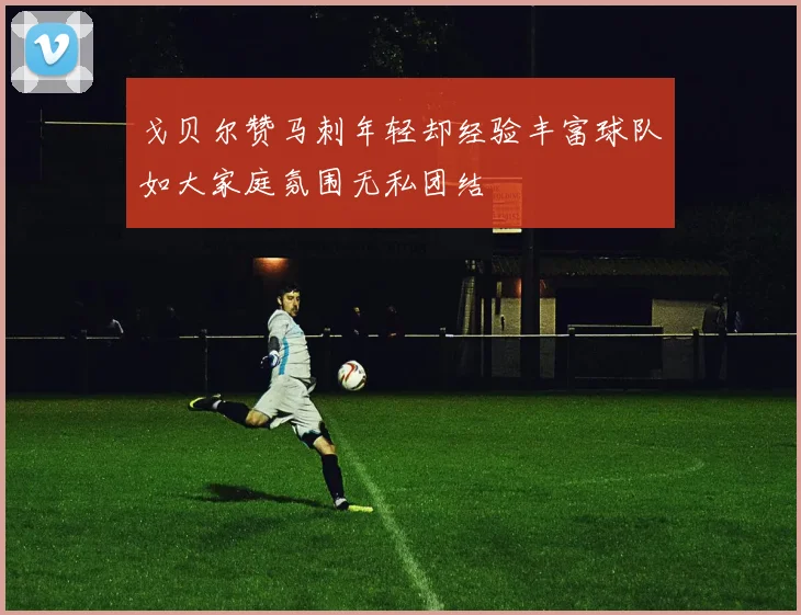 戈贝尔赞马刺年轻却经验丰富球队如大家庭氛围无私团结